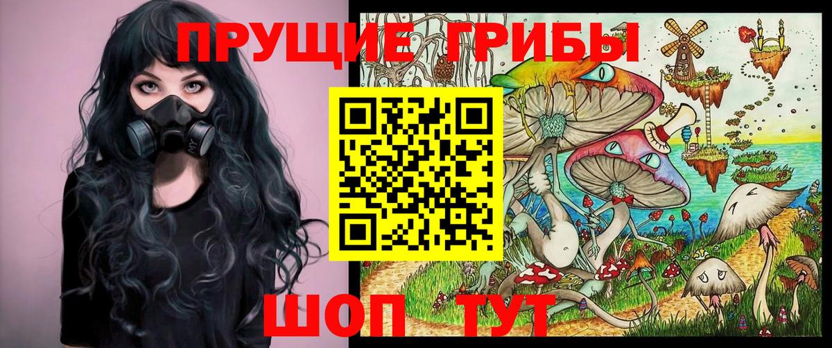 Галлюциногенные грибы Psilocybine cubensis  Вход с VPN  Котельники  Псилоцибиновые грибы прущие грибы 