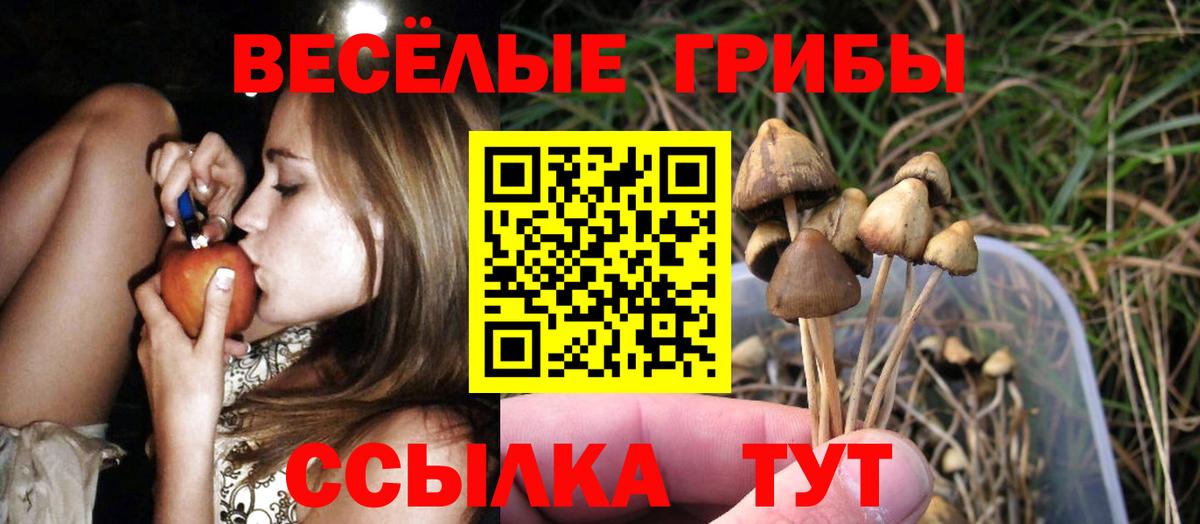 Псилоцибиновые грибы ЛСД Котельники